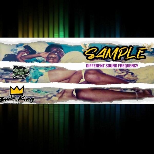 Cover art for Sample D.S.F.